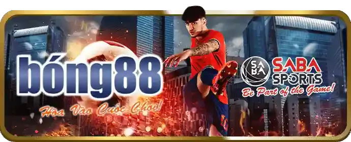 Giao diện ứng dụng di động SCV388 link mới trên điện thoại, hiển thị trận đấu bóng đá
